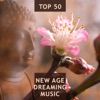 Top 50 New Age Dreaming Music: Nature Sounds with Ocean Waves, Rain and Birds for Meditation and Deep Sleep, Spirit of Nature
