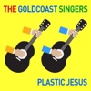 Plastic Jesus