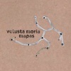 Vetusta Morla - Maldita Dulzura