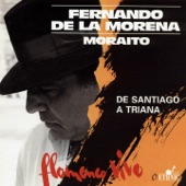 De Santiago a Triana (Flamenco Vivo) artwork