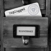 Unplugged (feat. Anders Blichfeldt, Asger Steenholdt, Pete Repete, Jens Fredslund & Morten Jay) artwork