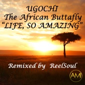 Life, So Amazing (ReelSoul Remix) - Single