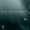 Sleep of the Reason - Single album lyrics, reviews, download