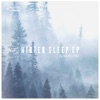 Winter Sleep - Ep, 2017