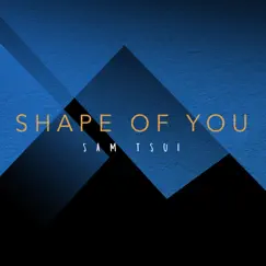 Shape of You - Single by Sam Tsui album reviews, ratings, credits