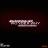 Stream & download Wonder Why (Radio Mix) - Single