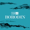 Top 10: Borodin, 2017
