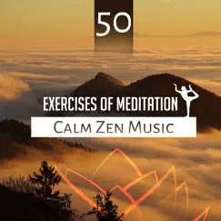 50 Exercises of Meditation - Calm Zen Music, Chakra Healing, Mindfulness Meditation, Brain Stimulation by Sounds, Mind Ability by Meditation Mantras Guru album reviews, ratings, credits