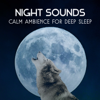 Night Sounds – Calm Ambience for Deep Sleep, Relaxation Music Therapy, Healing Serenity for Bedtime - Deep Sleep Sanctuary