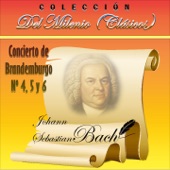 Brandenburg Concerto No. 5 in D Major, BWV 1050: III. Allegro artwork