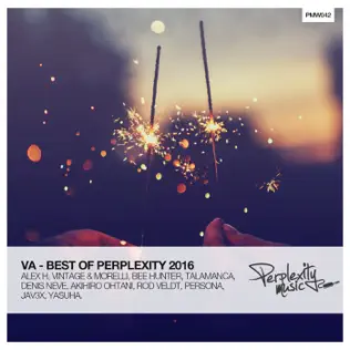 Album herunterladen Various - Best Of Perplexity 2016