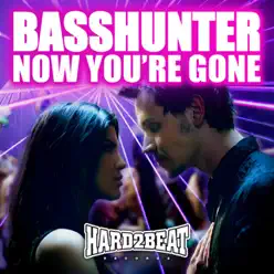 Now You're Gone (feat. DJ Mental Theo's Bazzheadz) [Radio Edit] - Single - Basshunter