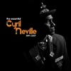 The Essential Cyril Neville 1994-2007, 2010