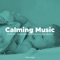 Sleep Music - Meditation Polo Club lyrics