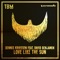 Love Like the Sun (feat. David Benjamin) - Dennis Kruissen lyrics