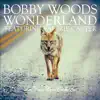 Wonderland (feat. Valerie Carter & Les Deux Love Orchestra) - Single album lyrics, reviews, download