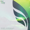 The Northern Lights - Single