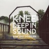 Knee Deep in Sound: BPM 2017 Sampler, 2017