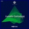Diagonal - Lunatic Caricature lyrics