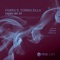 Liquid Sky (Saimon Remix) - Fabrice Torricella lyrics