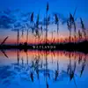 Wetlands album lyrics, reviews, download