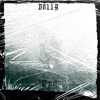 Dolla - Single