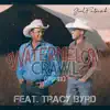 Watermelon Crawl (Remix) - Single album lyrics, reviews, download