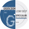 Spirits Calling (Inc Luis Radio Edit) - Single