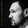 The Best of David Gray album lyrics, reviews, download