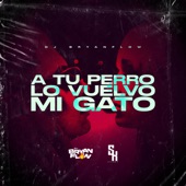 A Tu Perro Lo Vuelvo Mi Gato (feat. DJ Sknor) artwork