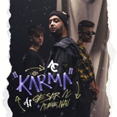 Karma artwork