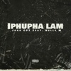 Iphupha Lam (feat. Nelle M) - Single