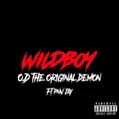 Wildboy (feat. PNV Jay) artwork