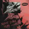 Never Been Hurt (Remixes) - EP album lyrics, reviews, download