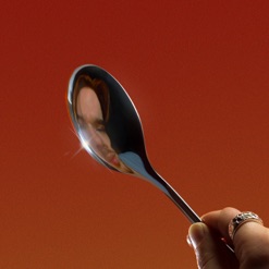 THE SPOON cover art