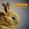 Kindness - Sound Gallery by Dmitry Taras lyrics