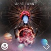 What I Want - Single