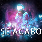 Se Acabo Tik Tok (Remix) artwork