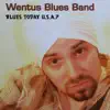 Blues Today USA - Single album lyrics, reviews, download