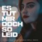 Es tut mir doch so Leid (Red Drill Remix) artwork