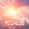 Pegasus Meteoro - Single