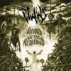 C.l.A.W.S. - Absorbed in the Nethervoid