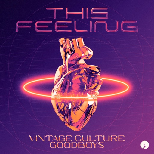 This Feeling - Single by Goodboys, Vintage Culture