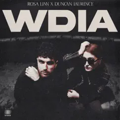 WDIA (Would Do It Again) Song Lyrics