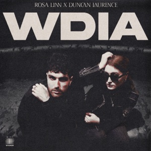 Rosa Linn & Duncan Laurence - WDIA (Would Do It Again) - Line Dance Musik