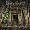 Temple Gateways (DJ Taz Rashid Yoga Mix) - Single album lyrics, reviews, download