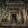 Temple Gateways (DJ Taz Rashid Yoga Mix) - Single