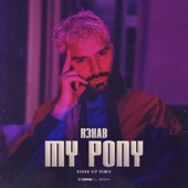 My Pony (R3HAB VIP Remix) artwork