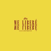 Me Liberé artwork