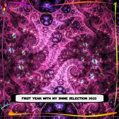 FIRST YEAR WITH MY SHINE SELECTION 2022 by Various Artists album reviews, ratings, credits